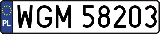 WGM58203