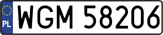 WGM58206