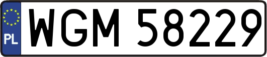 WGM58229