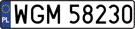 WGM58230