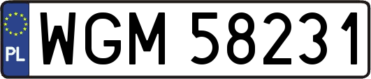 WGM58231