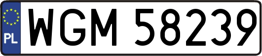 WGM58239