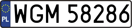 WGM58286