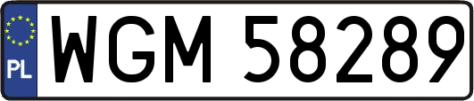 WGM58289