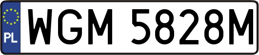 WGM5828M