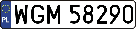 WGM58290