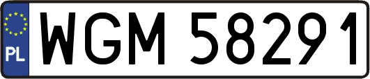 WGM58291