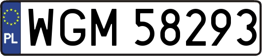 WGM58293