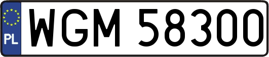 WGM58300