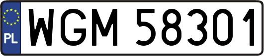 WGM58301