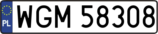 WGM58308