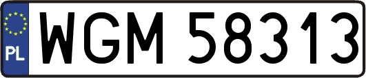 WGM58313