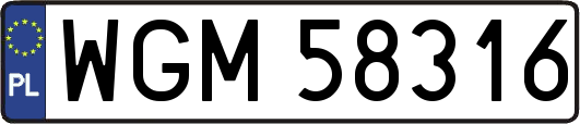 WGM58316