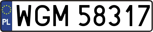 WGM58317