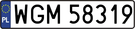 WGM58319