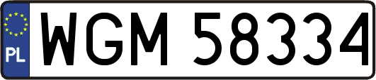 WGM58334
