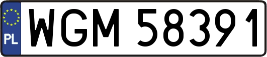 WGM58391
