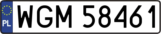 WGM58461