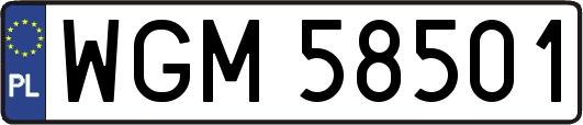 WGM58501
