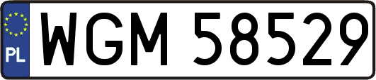 WGM58529