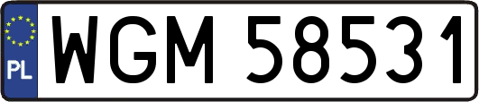 WGM58531