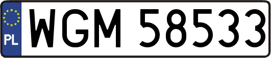 WGM58533