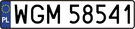 WGM58541
