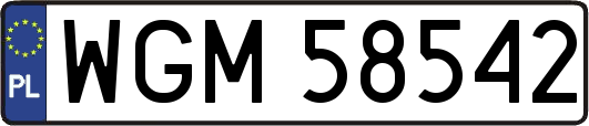 WGM58542