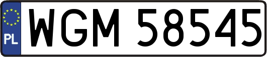 WGM58545