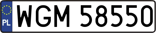 WGM58550