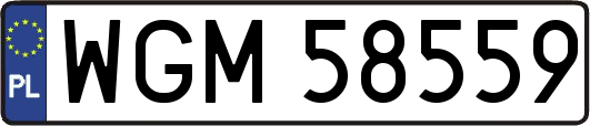 WGM58559