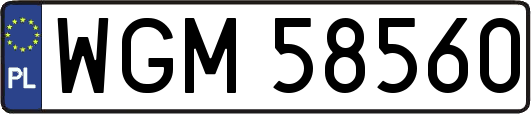 WGM58560