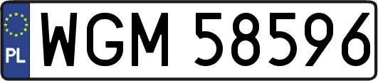 WGM58596