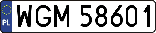 WGM58601