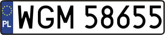WGM58655