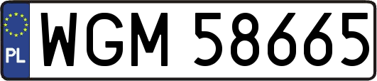 WGM58665