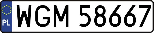 WGM58667