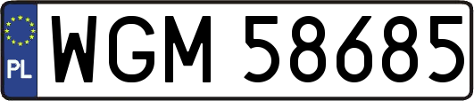 WGM58685