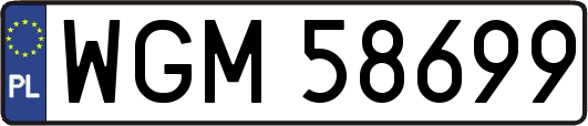 WGM58699