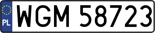 WGM58723