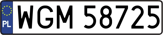 WGM58725