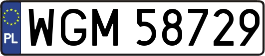 WGM58729