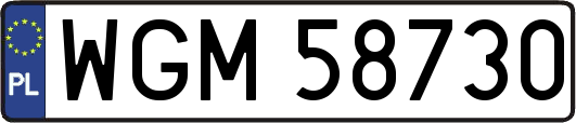 WGM58730