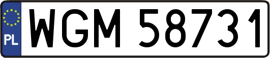 WGM58731