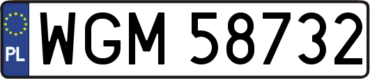 WGM58732