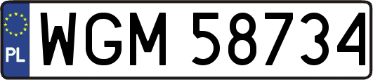 WGM58734