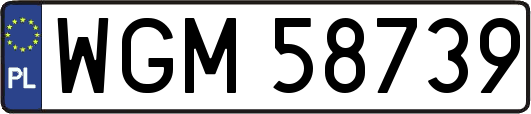 WGM58739