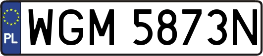 WGM5873N