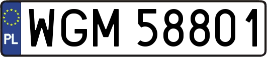 WGM58801