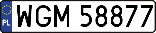 WGM58877